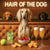 Hair of the Dog Saluki 016 Ruff & Ready Funny Canine Art neon lights, bacon-woven flair, and egg murals