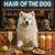 Hair of the Dog Samoyed 001 Ruff & Ready Funny Canine Art neon lights, bacon-woven flair, and egg murals