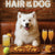 Hair of the Dog Samoyed 015 Ruff & Ready Funny Canine Art neon lights, bacon-woven flair, and egg murals