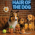 Hair of the Dog Shetland Sheepdog 003 Ruff & Ready Funny Canine Art neon lights, bacon-woven flair, and egg murals