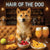 Hair of the Dog Shiba Inu 013 Ruff & Ready Funny Canine Art neon lights, bacon-woven flair, and egg murals
