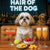 Hair of the Dog Shih Tzu 010 Ruff & Ready Funny Canine Art neon lights, bacon-woven flair, and egg murals