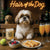 Hair of the Dog Shih Tzu 012 Ruff & Ready Funny Canine Art neon lights, bacon-woven flair, and egg murals