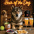 Hair of the Dog Shikoku 001 Ruff & Ready Funny Canine Art neon lights, bacon-woven flair, and egg murals