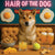 Hair of the Dog Shikoku 005 Ruff & Ready Funny Canine Art neon lights, bacon-woven flair, and egg murals
