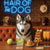 Hair of the Dog Siberian Husky 004 Ruff & Ready Funny Canine Art neon lights, bacon-woven flair, and egg murals