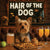 Hair of the Dog Silky Terrier 005 Ruff & Ready Funny Canine Art neon lights, bacon-woven flair, and egg murals