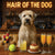 Hair of the Dog Soft Coated Wheaten Terrier 005 Ruff & Ready Funny Canine Art neon lights, bacon-woven flair, and egg murals