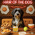 Hair of the Dog Tibetan Terrier 006 Ruff & Ready Funny Canine Art neon lights, bacon-woven flair, and egg murals