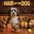Hair of the Dog Tibetan Terrier 010 Ruff & Ready Funny Canine Art neon lights, bacon-woven flair, and egg murals
