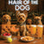 Hair of the Dog Yorkshire Terrier 015 Ruff & Ready Funny Canine Art neon lights, bacon-woven flair, and egg murals