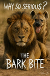 Lion looking serious next to smiling hyena with text Why so serious? The Bark Bite