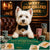 west highland terrier in bow tie at poker table with stacks of green red and tan chips under a West High-Rollers Terrier sign