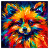 Best Pomeranian Wall Art and Metal Prints for Every Pom Lover's Home