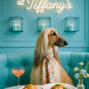 Best Afghan Hound Wall Art and Prints for Every Afghan Lover's Home
