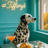 Best Dog Wall Art for the Laundry Room: Prints That Make Chores Feel Less Like Work