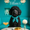 Best Portuguese Water Dog Wall Art and Metal Prints for Every Water Dog Lover's Home