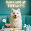 Best Samoyed Wall Art and Prints for Every Samoyed Lover's Home