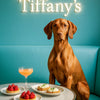 Best Vizsla Wall Art and Metal Prints for Every Vizsla Lover's Home