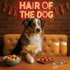 Best Australian Shepherd Wall Art and Prints for Every Aussie Lover's Home