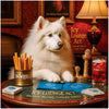 Icy Lounge Act American Eskimo lounge scene metal print