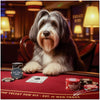 Blackjack Beard Bearded Collie Dog at Poker Table in Casino Scene