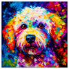 Colorful Bichon Frise portrait in modern art style, perfect for home decor.