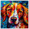Colorful Brittany portrait in modern art style, perfect for home decor.
