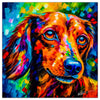 Colorful Dachshund portrait in modern art style, perfect for home decor.