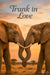 Two elephants intertwining trunks in a romantic sunset metal wall art print