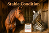 Stable Condition II humorous horse veterinarian diagnosing zebra stripes metal print