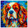 Colorful King Charles Cavalier portrait in modern art style, perfect for home decor.