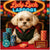 Maltese dog wearing glasses and a vest, sitting at a poker table with orange and blue poker chips in front of a glowing Lady Luck Lapdogs sign.