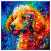 Colorful Poodle portrait in modern art style, perfect for home decor.
