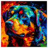 Colorful Rottweiler portrait in modern art style, perfect for home decor.