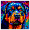 Colorful Rottweiler portrait in modern art style, perfect for home decor.