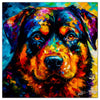 Colorful Rottweiler portrait in modern art style, perfect for home decor.