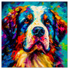 Colorful Saint Bernard portrait in modern art style, perfect for home decor.