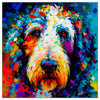 Colorful Sheepadoodle portrait in modern art style, perfect for home decor.