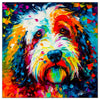 Colorful Sheepadoodle portrait in modern art style, perfect for home decor.