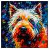 West Highland Terrier 01