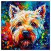 West Highland Terrier 02