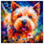 West Highland Terrier 04