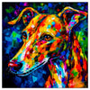 Whippet 01