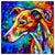 Whippet 03