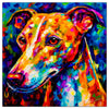Whippet 04