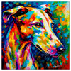 Whippet 05
