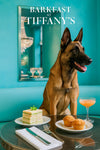 Belgian Malinois wearing a teal scarf seated at a turquoise banquette with stacked cucumber tea sandwiches, muffins, a peach cocktail, and a mirror reflecting a chandelier