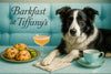 Border Collie resting on a turquoise tufted banquette with a silver tray of strawberry scones and cucumber slices, a peach cocktail glass, and a turquoise teacup on a marble table