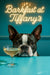 Tuxedo-masked Boston Terrier peeking over a turquoise table at a sparkling cocktail under neon “Barkfast at Tiffany’s” sign